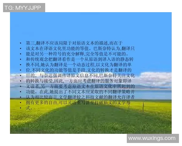 土耳其足球明星在粤语中的精彩翻译与文化解读